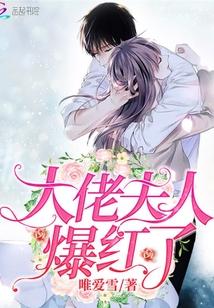 大佬夫人爆红了