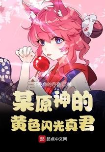 某原神的黄色闪光真君