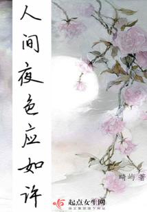 人间夜色应如许