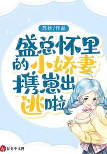 盛总怀里的小娇妻携崽出逃啦