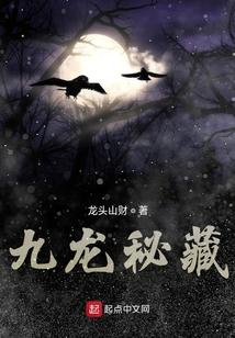 九龙秘藏