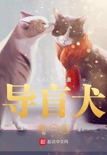 导盲犬的一生