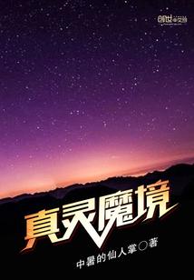 真灵魔境