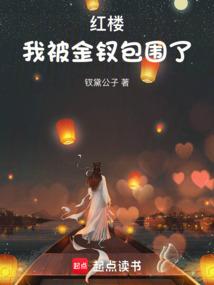 红楼：我被金钗包围了