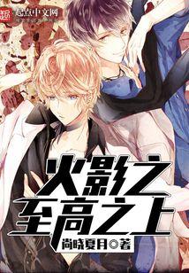 火影之至高之上