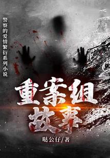 重案组故事