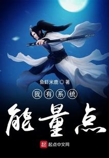 我有系统能量点