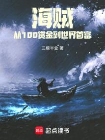 海贼：从100赏金到世界首富