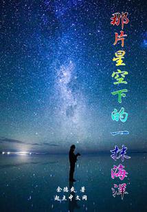 那片星空下的一抹海洋