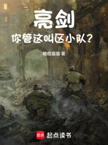 亮剑：你管这叫区小队？